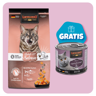 Promo Leonardo adulto GF salmón 1.8 Kg + 1 Quality conejo 200gr GRATIS1