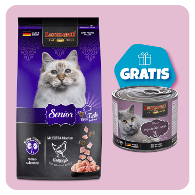 Promo Leonardo Adulto Senior 1.8 Kg + 1 Quality conejo 200gr GRATIS1