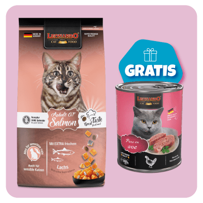 Promo Leonardo adulto GF salmón 7.5 Kg + 1 Quality ave 800gr GRATIS1