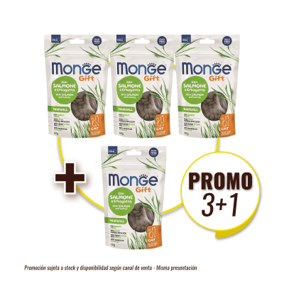 Pack Monge Gift Filled And Crunchy Hairball Cat (Salmon+Catnip) 60 gr (3+1)