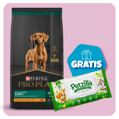 Promo Pro Plan Cachorro Razas Grandes 15 Kg + Toallitas Húmedas Gratis1