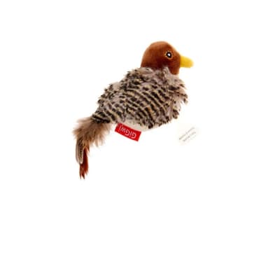 Gigwi Melody chaser pájaro