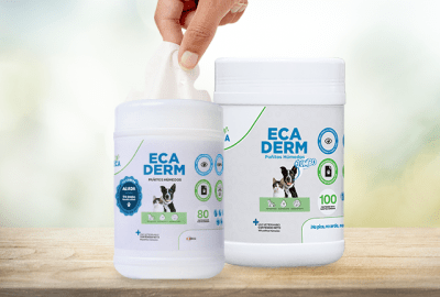 Ecaderm pañitos húmedos - 80 unidades