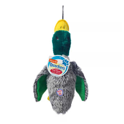 Hartz Quackers Muñeco de pato talla grande