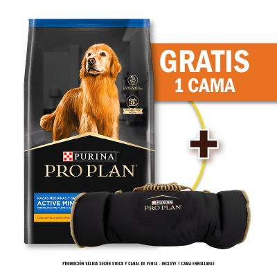Pack Pro Plan Active Mind Razas Medianas y Grandes 15 Kg + Cama Enrollable Gratis