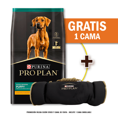 Pack Pro Plan Cachorro Razas Grandes 15 Kg + Cama Enrollable Gratis
