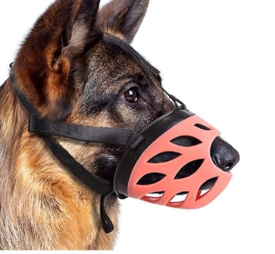 Puppylandia bozal talla 6