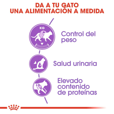 Royal Canin Regular Sterilised 37 - 2 Kg