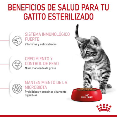 Royal Canin Kitten Sterilizado 2 Kg