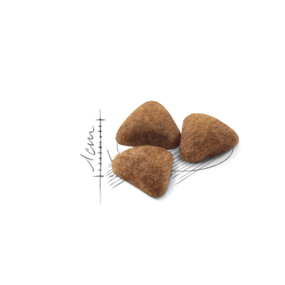 Royal Canin Home Life Indoor 27 - 2 Kg