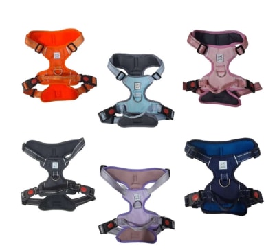 Duk Lup pechera rainbow Talla S