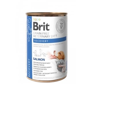 Brit Grain Free Veterinary Diet Recovery 400 gr