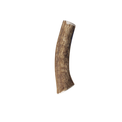 Kong Wild Antler WHOLE small