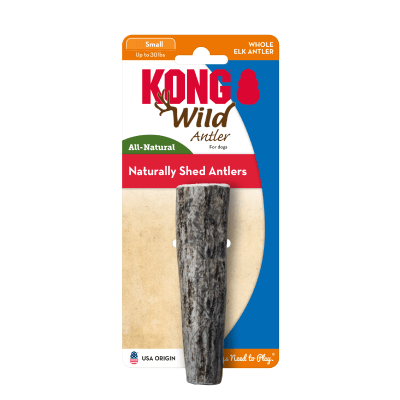 Kong Wild Antler WHOLE small