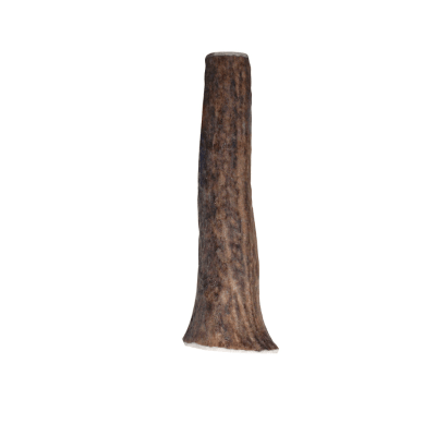 Kong Wild Antler WHOLE Medium