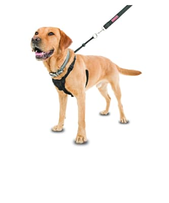 Animals Arnés Antitirones - Medium