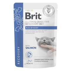Brit GF Veterinary Diet cat Recovery 85 gr