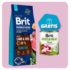 Promo Brit Premium By Nature Sensitive Lamb 15 Kg + Brit Pate & Meat Duck 800g