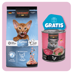 Promo Leonardo Kitten Gf 7.5 Kg + 1 Quality ave 800gr GRATIS
