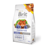 Brit Animals Hamster 300 gr1