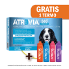 Pack Atrevia 360 antipulga perro Medium (10 - 20 Kg) + Termo de Regalo1