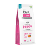 Brit Care Grain - Free Puppy Salmon & Potato 12 Kg1