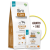 Promo Brit Care Grain - Free Senior & Light Salmon & Potato 12 Kg + 1 bolsa de 1 Kg1