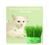 Puppylandia hierba para gato con maceta modelo cabecita5