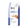Brit GF Veterinary diet dog Gastrointestinal Junior 2 Kg1