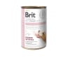 Brit GF Veterinary Diet dog Hypoallergenic 400 gr1