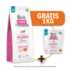 Pack Brit Care Grain - Free Puppy Salmon & Potato 12 Kg + 1 bolsa de 1 Kg1