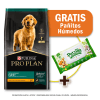 Pack Pro Plan Cachorro Razas Medianas 15 Kg + Toallitas Húmedas Gratis1