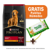 Pack Pro Plan Adult Razas Medianas 15 Kg + Toallitas Húmedas Gratis1