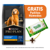 Pack Pro Plan Active Mind Razas Medianas y Grandes 15 Kg + Toallitas Húmedas Gratis1