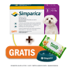 Pack Simparica 10 mg (2.5 a 5 kg) x 3 tabletas + Pañitos Húmedos y Plato GRATIS1