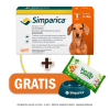 Pack Simparica 20 mg (5 a 10 kg) x 3 tabletas + Pañitos Húmedos y Plato GRATIS1