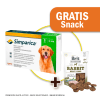 Pack Simparica 80 mg (20 a 40 kg) x 3 tabletas + Snack Jerky Rabbit de Regalo1