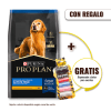 Pack Pro Plan Active Mind Razas Medianas y Grandes 15 Kg + Bolsas y dispensador excretas Gratis1