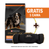 Pro Plan adulto cordero Sensitive Skin 15 Kg + Cama Enrollable Gratis1