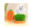 Puppylandia hierba para gato con maceta modelo zanahoria2