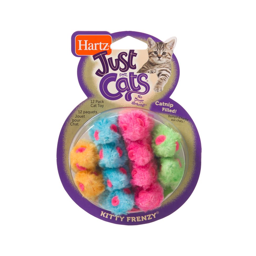 A Mi Gato No Le Gusta Que Lo Cargue