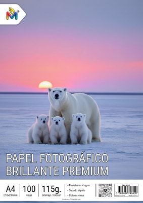 Papel Fotografico Brillante 115g Premium 100 Hojas A4