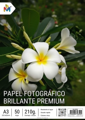 Papel Fotografico A3 Brillante 210g Premium 50 Hojas A3