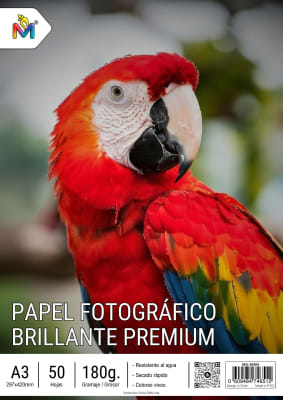 Papel Fotografico A3 Brillante 180g Premium 50 Hojas A3