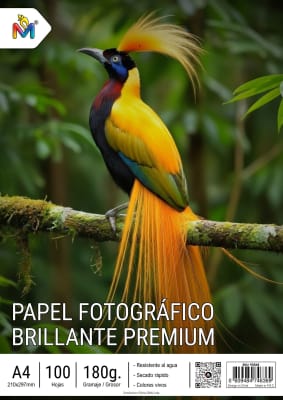 Papel Fotografico Brillante 180g Premium 100 Hojas A4