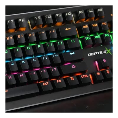 TECLADO GAMER MECANICO REPTILE RX0004