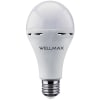 AMPOLLETA WELLMAX E-27 EMERGENCIA 11W. CW A80/11WF1