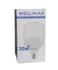 AMPOLLETA HAMMER WELLMAX T100 E-27 30W 1