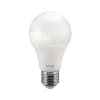 AMPOLLETA LED +ECONOMICA A60 7W CW 630LM 6500K1