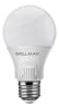 AMPOLLETA BALLET A60 WELLMAX 9W CW E-27 LUZ CALIDA1